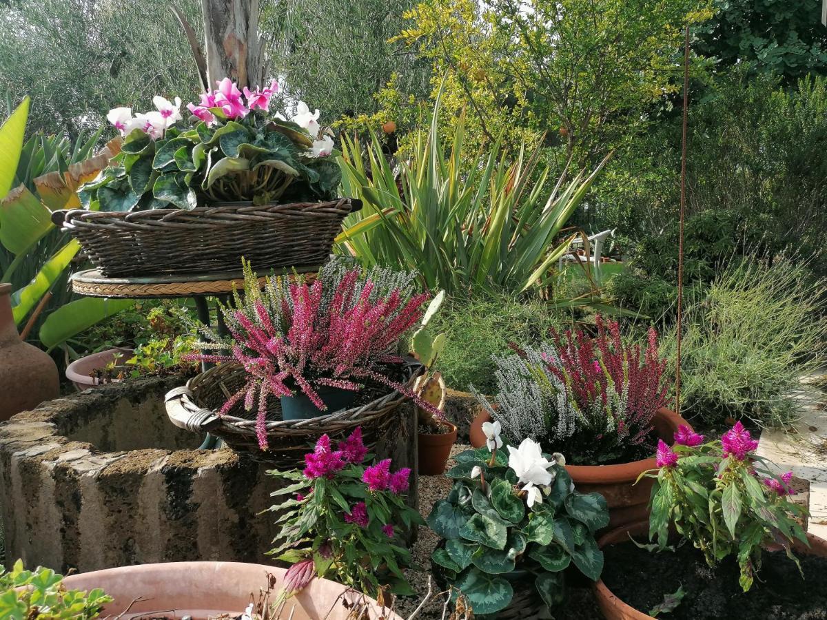 Il Giardino Del Te Hotel Барлета Екстериор снимка