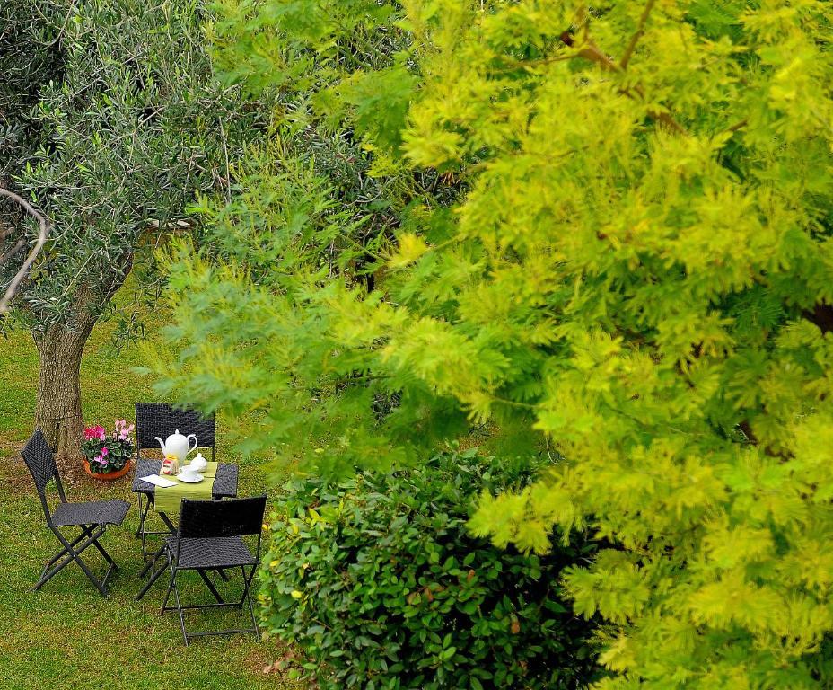 Il Giardino Del Te Hotel Барлета Екстериор снимка