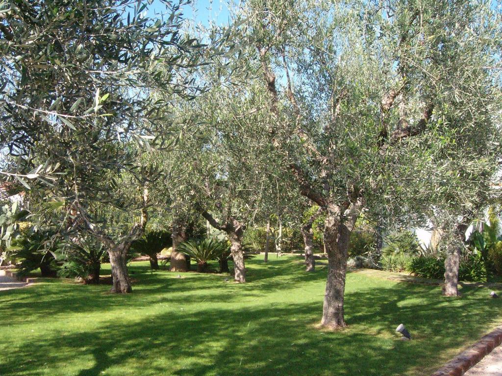 Il Giardino Del Te Hotel Барлета Екстериор снимка